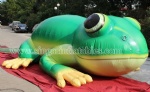 5m giant inflatable frog replica for outdoor decor
