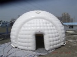 5M advertising dome with skylight