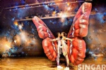 Event/party/club/stage/festival inflatable Butterfly