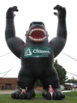 Popular giant gorilla for advertising