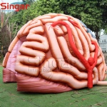 Inflatable Brain for education show