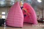 Inflatable Lung for school education