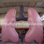 Inflatable Lung