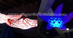 Full printing starfish decorations with Leds