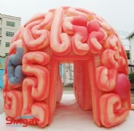 16ft giant inflatable brain,display brain inflatables,big brain